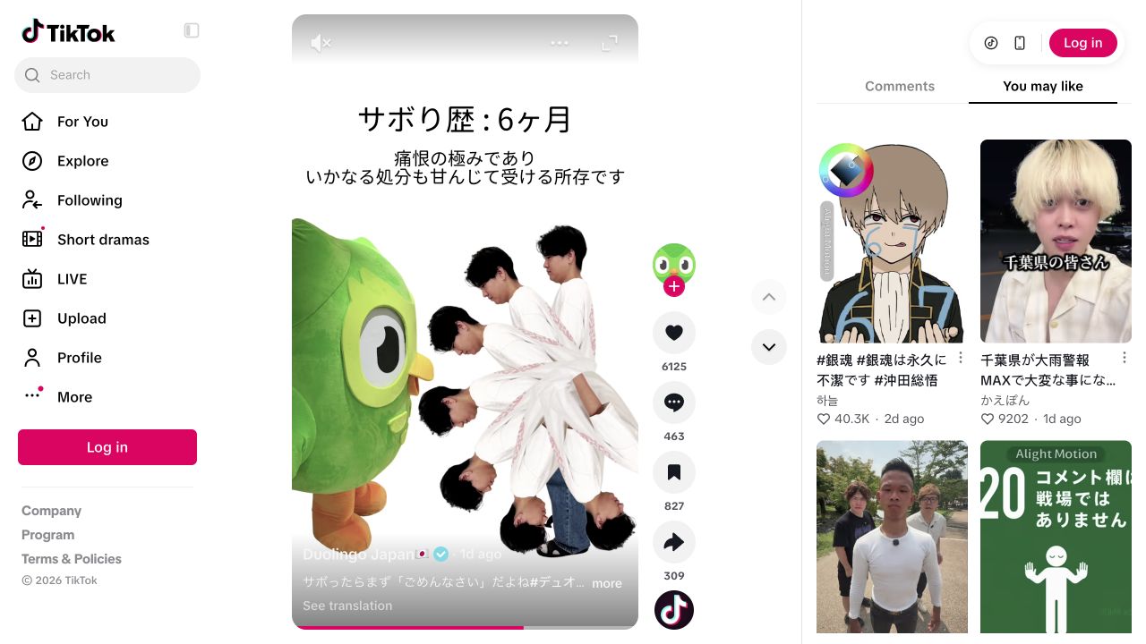 A person apologizes beside Duo in a Japanese TikTok video